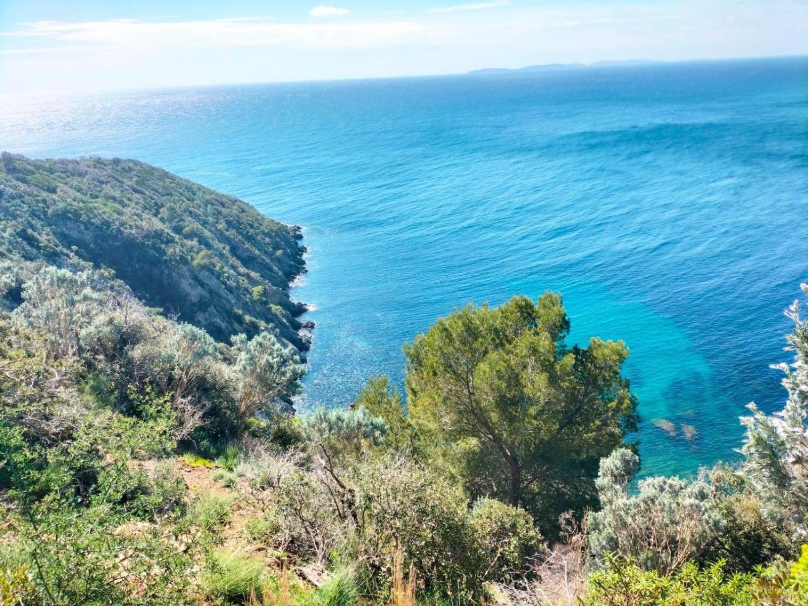 Studio Pool House Vue Mer Panoramique Amazing Sea View Wifi Linge Linen Inclut Aircondition La Croix-Valmer Εξωτερικό φωτογραφία