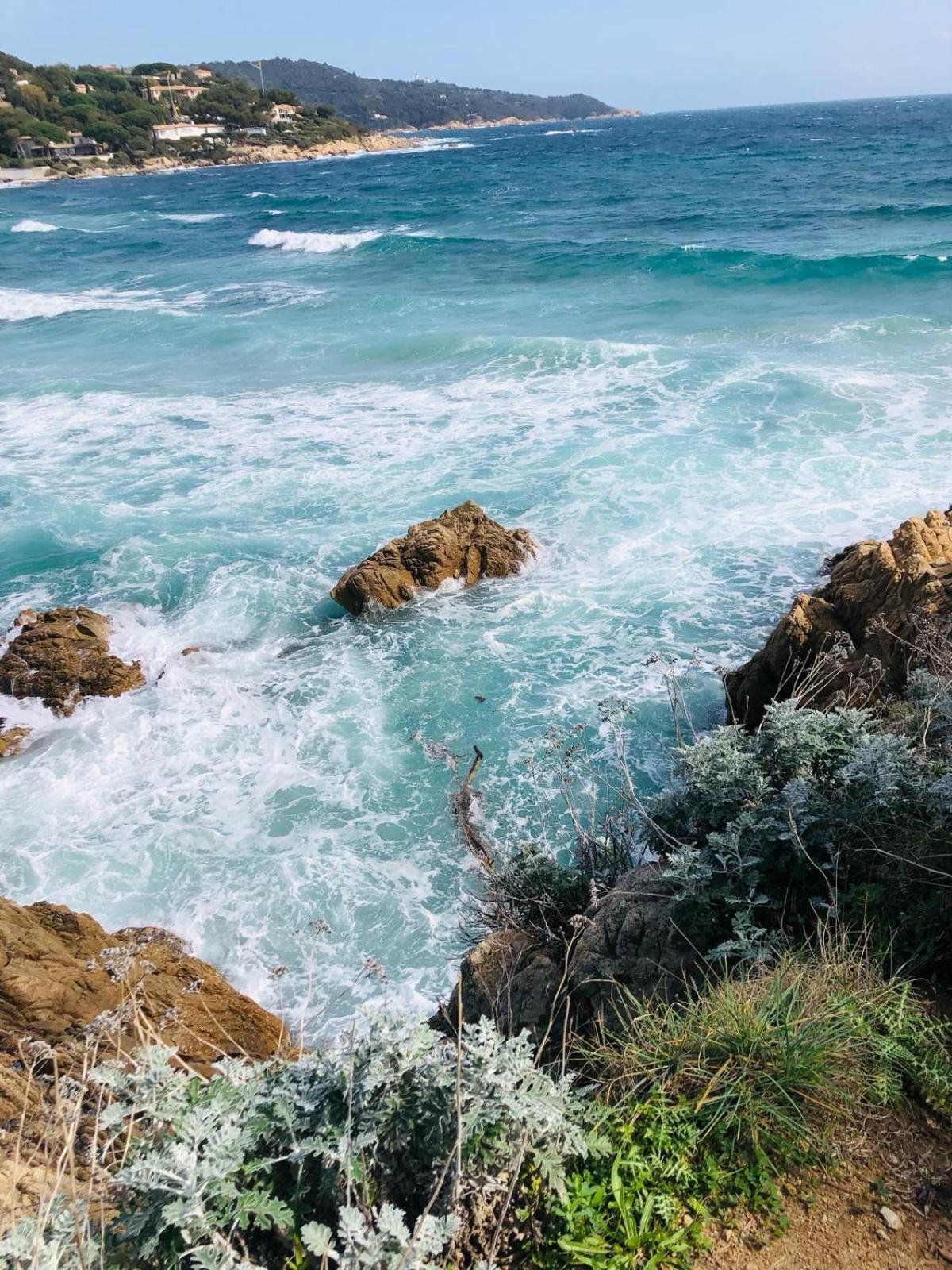 Studio Pool House Vue Mer Panoramique Amazing Sea View Wifi Linge Linen Inclut Aircondition La Croix-Valmer Εξωτερικό φωτογραφία